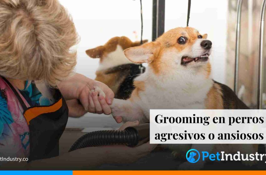  Grooming en perros agresivos o ansiosos 