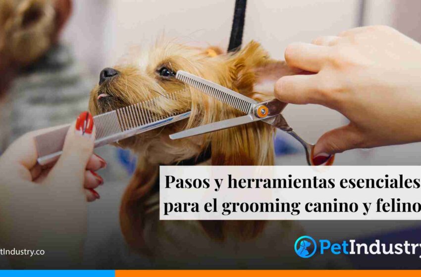  Pasos y herramientas esenciales para el grooming canino y felino 