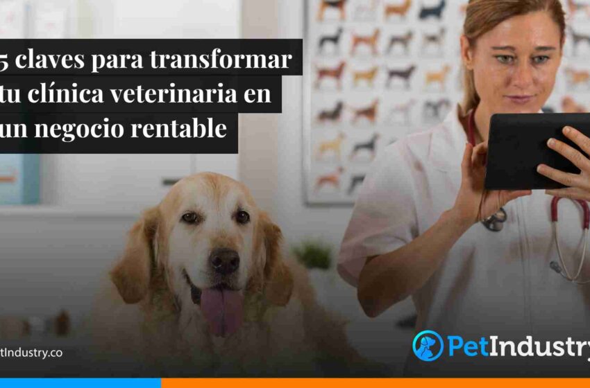  5 claves para transformar tu clínica veterinaria en un negocio rentable 