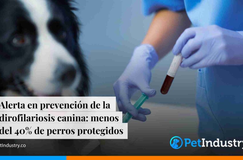  Alerta en prevención de la dirofilariosis canina: menos del 40% de perros protegidos 