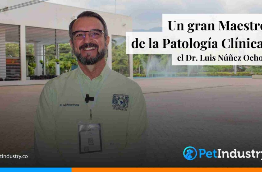  Descubriendo al Maestro de la Patología Clínica: Entrevista Exclusiva con el Dr. Luis Núñez Ochoa