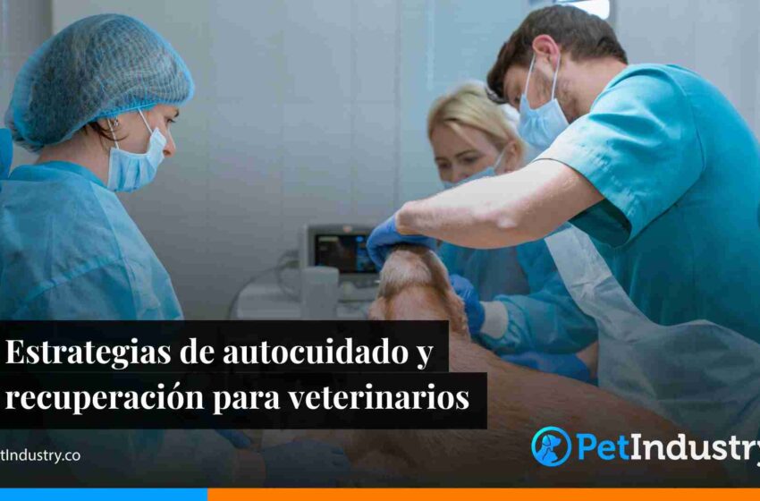  Estrategias de autocuidado y recuperación para veterinarios 