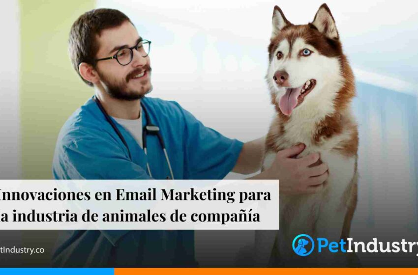  Innovaciones en Email Marketing para la industria de animales de compañía 
