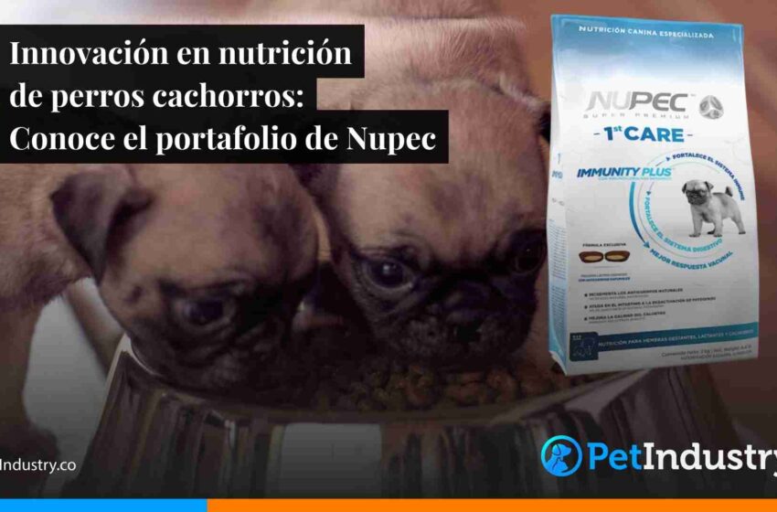  Innovación en nutrición de perros cachorros: Conoce el portafolio de Nupec