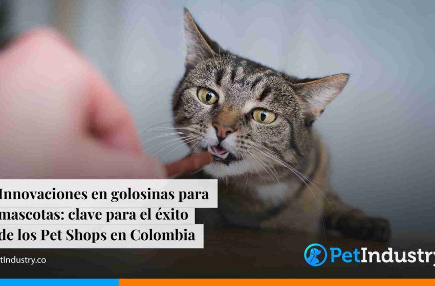  Innovaciones en golosinas para mascotas: clave para el éxito de los Pet Shops en Colombia 