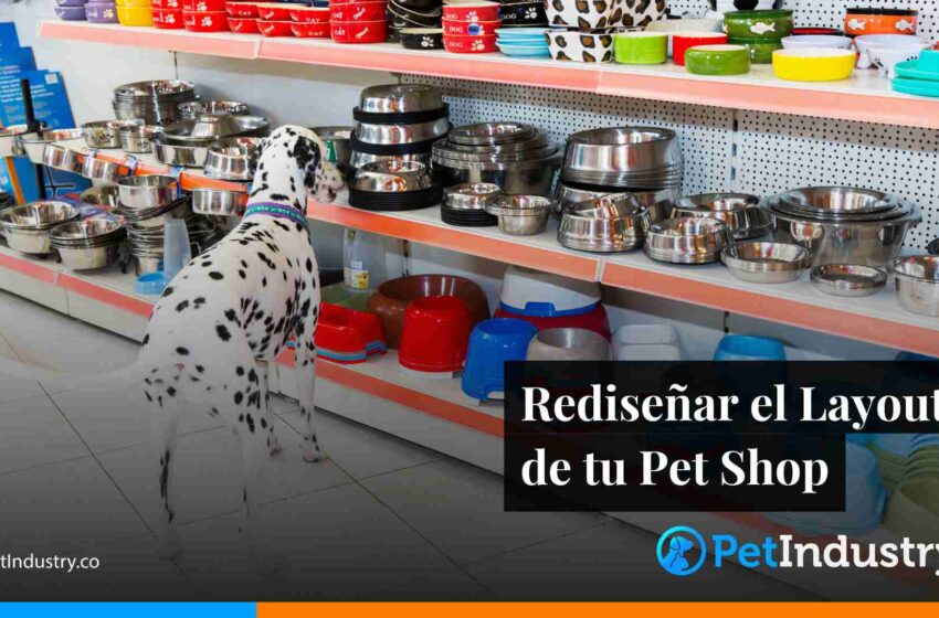  Rediseñar el Layout de tu Pet Shop 
