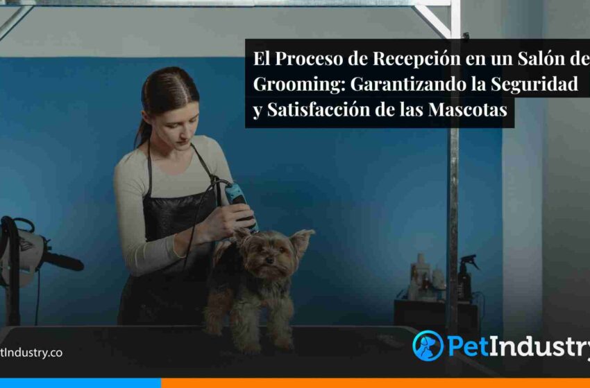  El Proceso de Recepción en un Salón de Grooming: Garantizando la Seguridad y Satisfacción de las Mascotas
