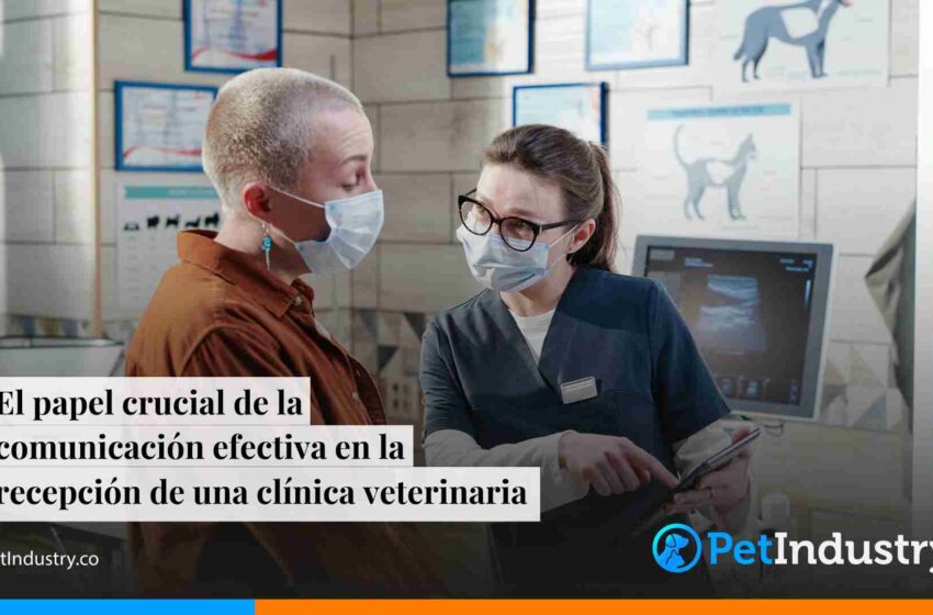  El papel crucial de la comunicación efectiva en la recepción de una clínica veterinaria
