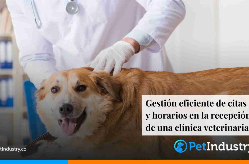  Gestión eficiente de citas y horarios en la recepción de una clínica veterinaria