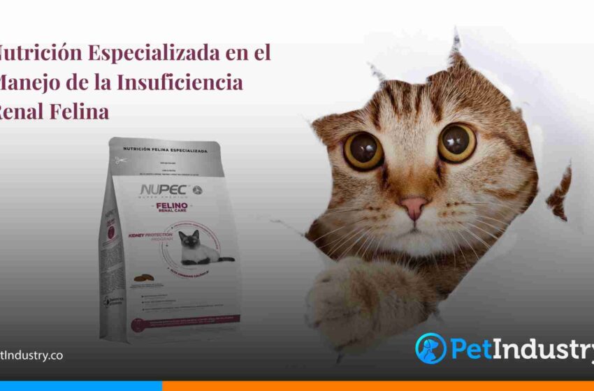  Nutrición Especializada en el Manejo de la Insuficiencia Renal Felina: Una Mirada al NUPEC Felino Renal Care