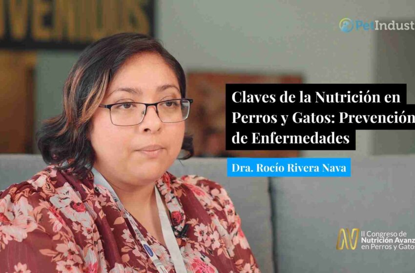  La Importancia de la Nutrición en la Salud de Perros y Gatos: Perspectivas de la Dra. Rocío Rivera
