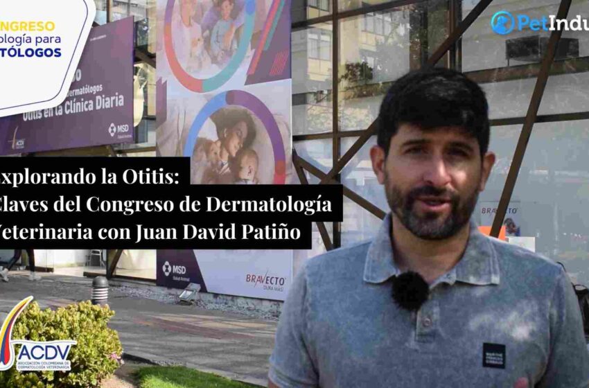  Explorando la Otitis: Claves del Congreso de Dermatología Veterinaria con Juan David Patiño