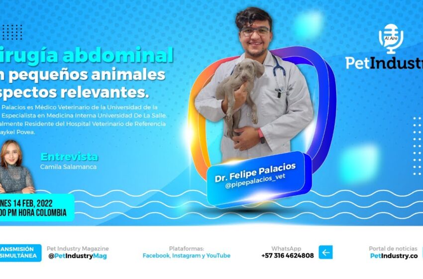  Innovaciones y Técnicas en Cirugía Abdominal Veterinaria: Un Vistazo con el Dr. Felipe Palacios