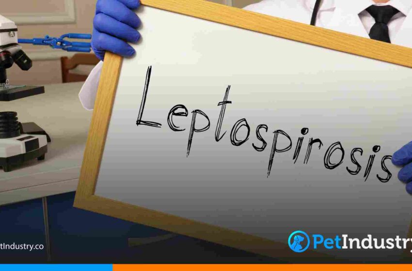  Leptospirosis en Colombia: Guía Práctica para Clínicas Veterinarias