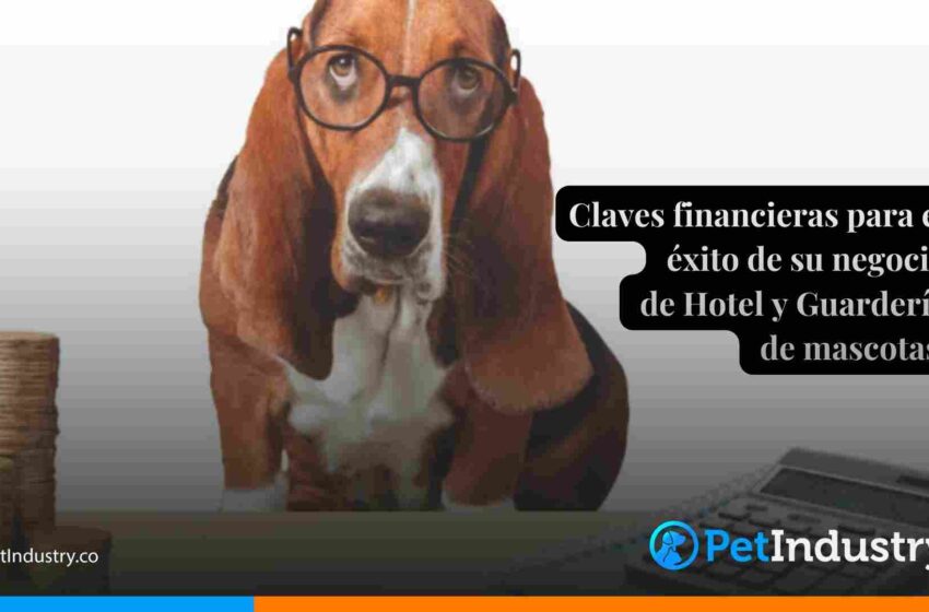  Claves financieras para el éxito de su negocio de Hotel y Guardería de mascotas 