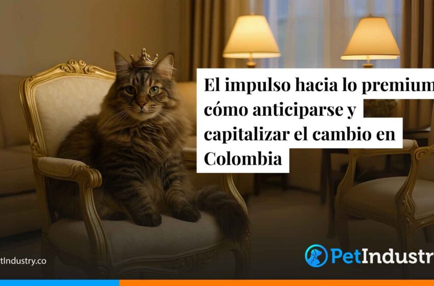  El impulso hacia lo premium: cómo anticiparse y capitalizar el cambio en Colombia