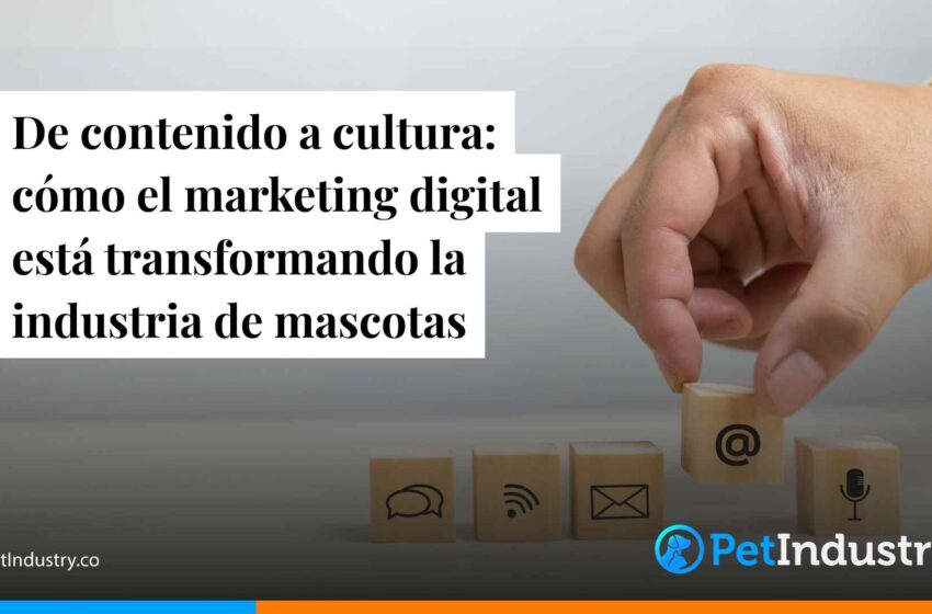  De contenido a cultura: cómo el marketing digital está transformando la industria de mascotas