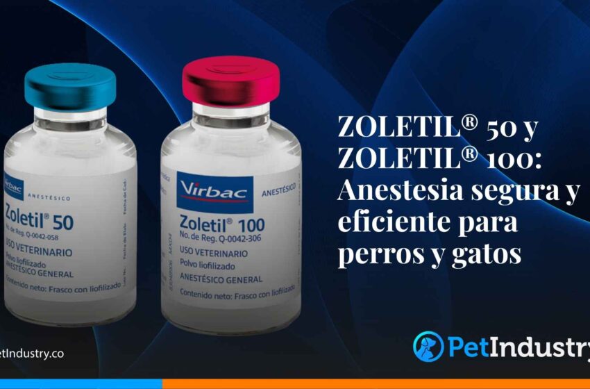  ZOLETIL® 50 y ZOLETIL® 100: Anestesia segura y eficiente para perros y gatos