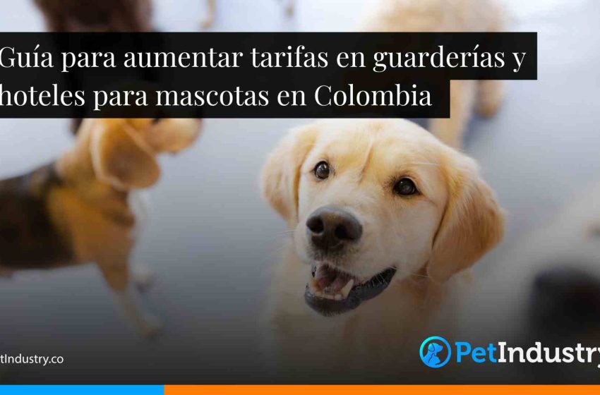  Guía para aumentar tarifas en guarderías y hoteles para mascotas en Colombia 
