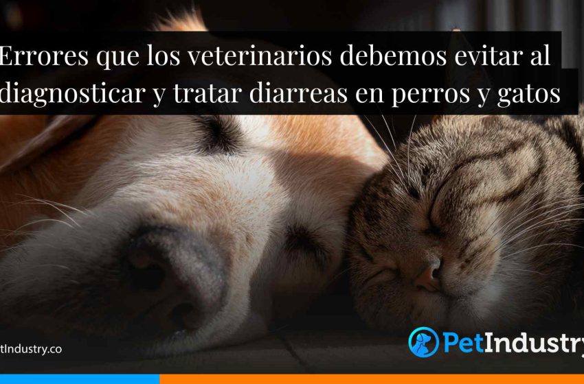  Errores que los veterinarios debemos evitar al diagnosticar y tratar diarreas en perros y gatos 
