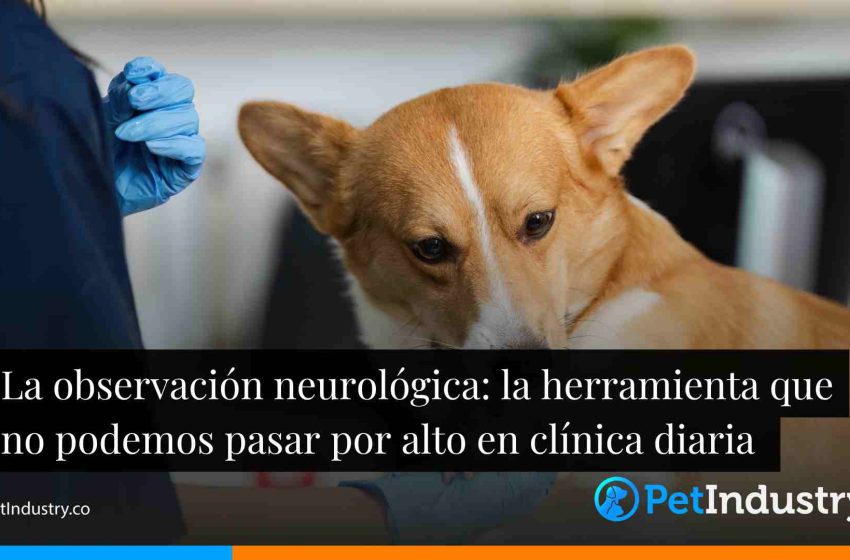  La observación neurológica: la herramienta que no podemos pasar por alto en clínica diaria 