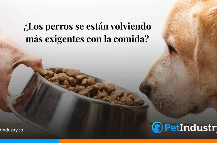  ¿Los perros se están volviendo más exigentes con la comida?