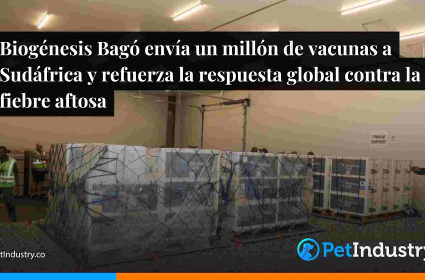  Biogénesis Bagó envía un millón de vacunas a Sudáfrica y refuerza la respuesta global contra la fiebre aftosa