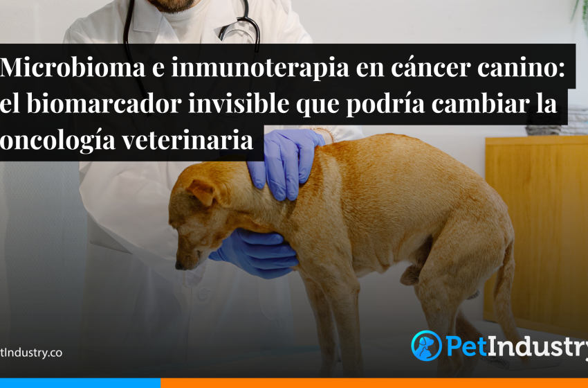  Microbioma e inmunoterapia en cáncer canino: el biomarcador invisible que podría cambiar la oncología veterinaria