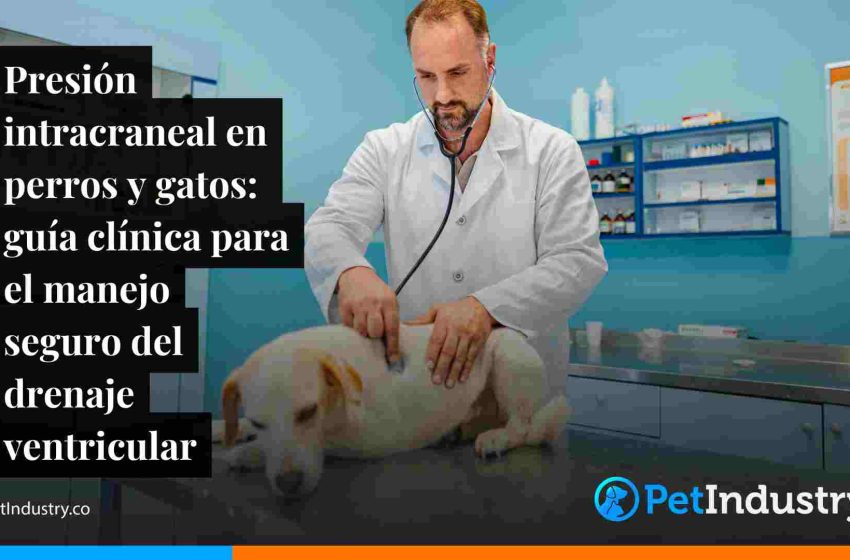  Presión intracraneal en perros y gatos: guía clínica para el manejo seguro del drenaje ventricular