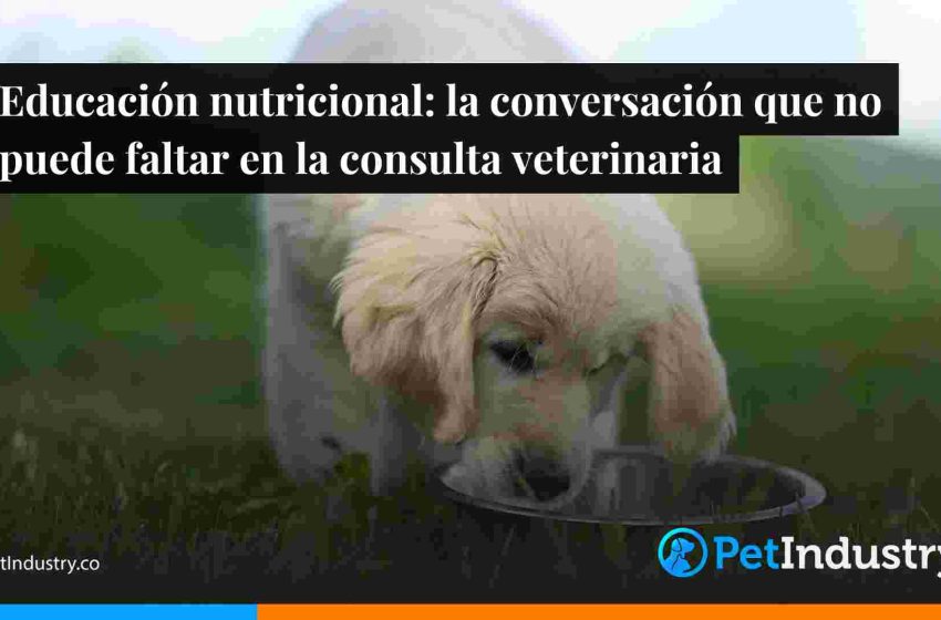  Educación nutricional: la conversación que no puede faltar en la consulta veterinaria