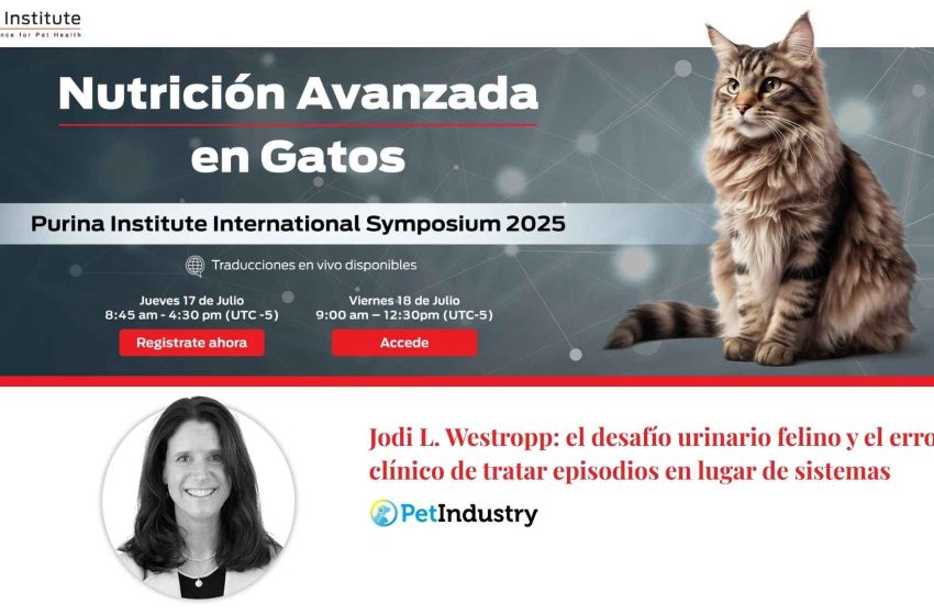  Jodi L. Westropp: el desafío urinario felino y el error clínico de tratar episodios en lugar de sistemas