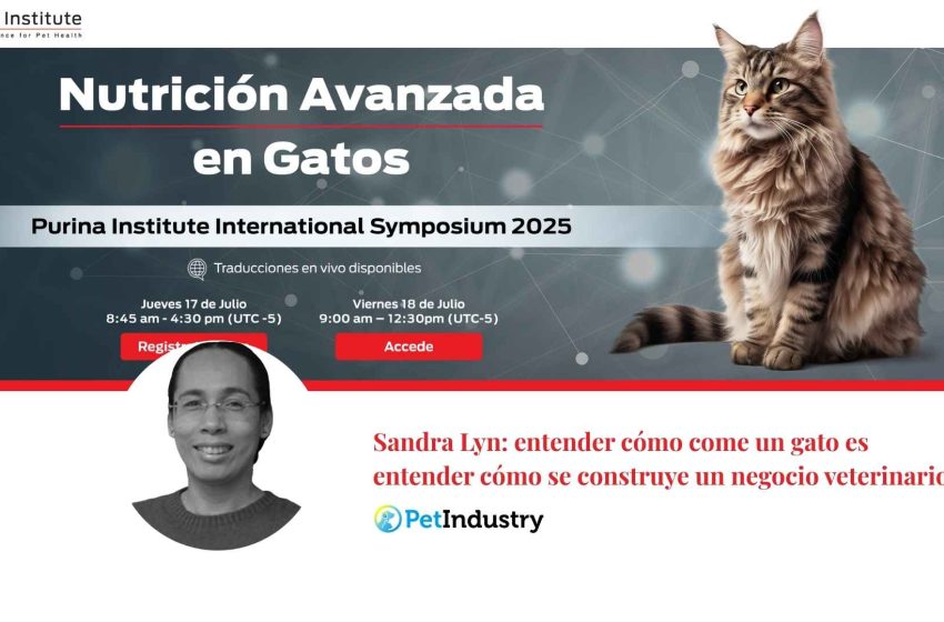  Sandra Lyn: entender cómo come un gato es entender cómo se construye un negocio veterinario