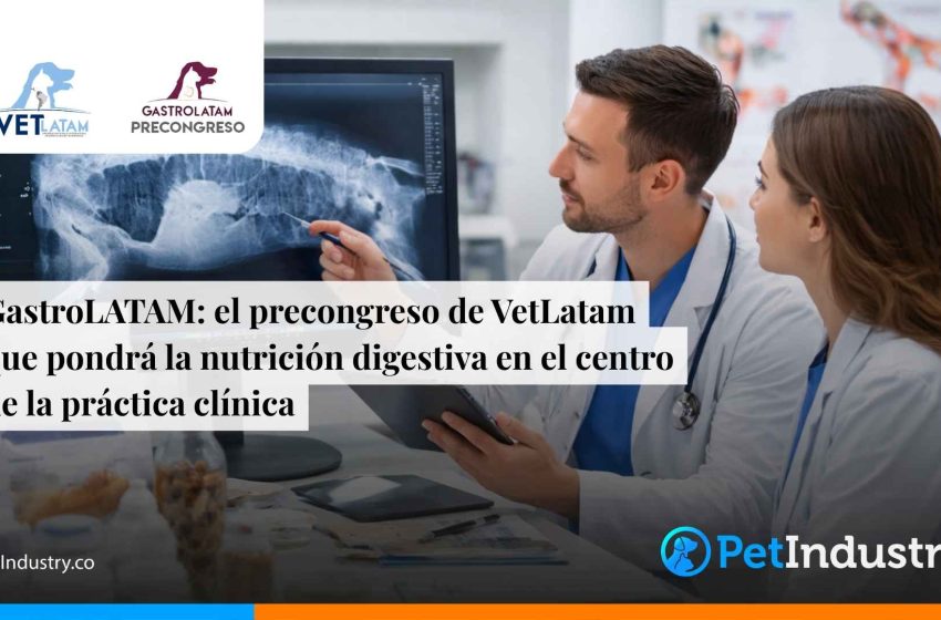  GastroLatam: el precongreso de VetLatam que pondrá la nutrición digestiva en el centro de la práctica clínica