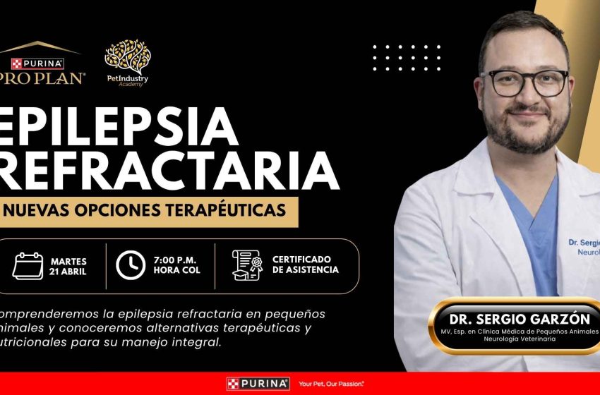  Epilepsia refractaria en pequeños animales: por qué hoy más que nunca los médicos veterinarios deben actualizarse