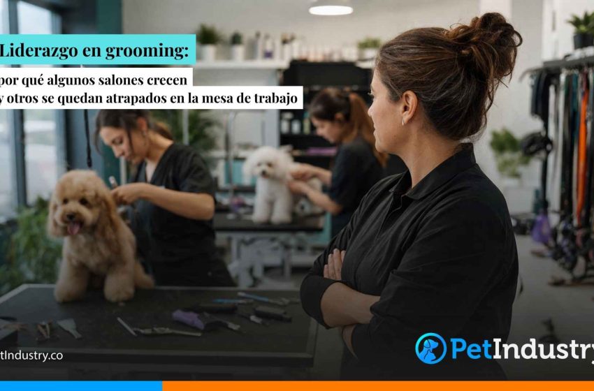  Liderazgo en grooming: por qué algunos salones crecen y otros se quedan atrapados en la mesa de trabajo