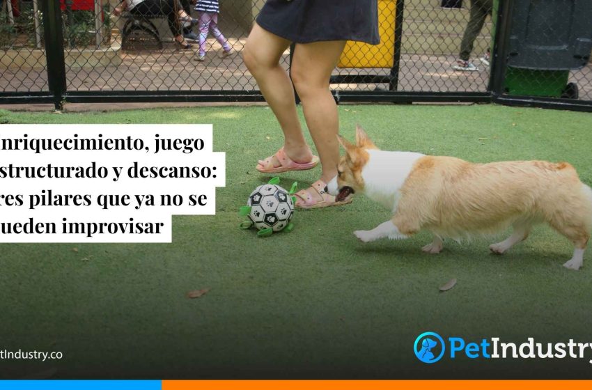  Enriquecimiento, juego estructurado y descanso: tres pilares que ya no se pueden improvisar