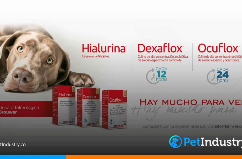  Ocuflox en la práctica clínica: colirio antibiótico y cicatrizante para veterinarios que necesitan precisión
