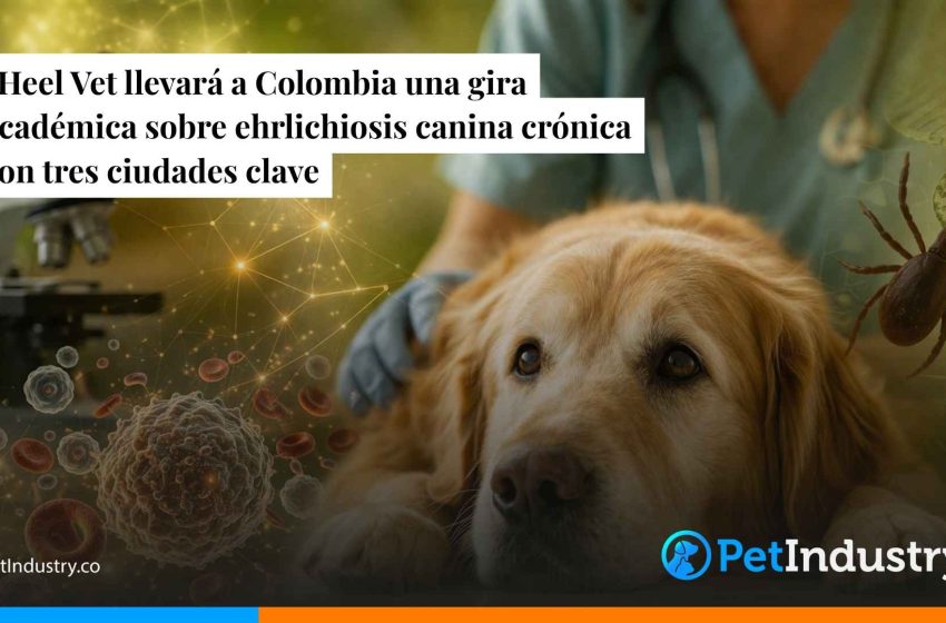  Heel Vet llevará a Colombia una gira académica sobre ehrlichiosis canina crónica con tres ciudades clave