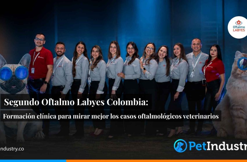  Segundo Oftalmo Labyes Colombia: formación clínica para mirar mejor los casos oftalmológicos veterinarios
