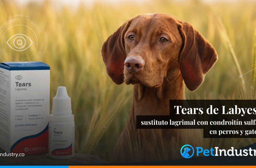  Tears de Labyes en medicina veterinaria: sustituto lagrimal con condroitín sulfato para el manejo responsable de la superficie ocular
