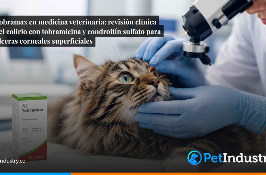  Tobramax en medicina veterinaria: revisión clínica del colirio con tobramicina y condroitín sulfato para úlceras corneales superficiales